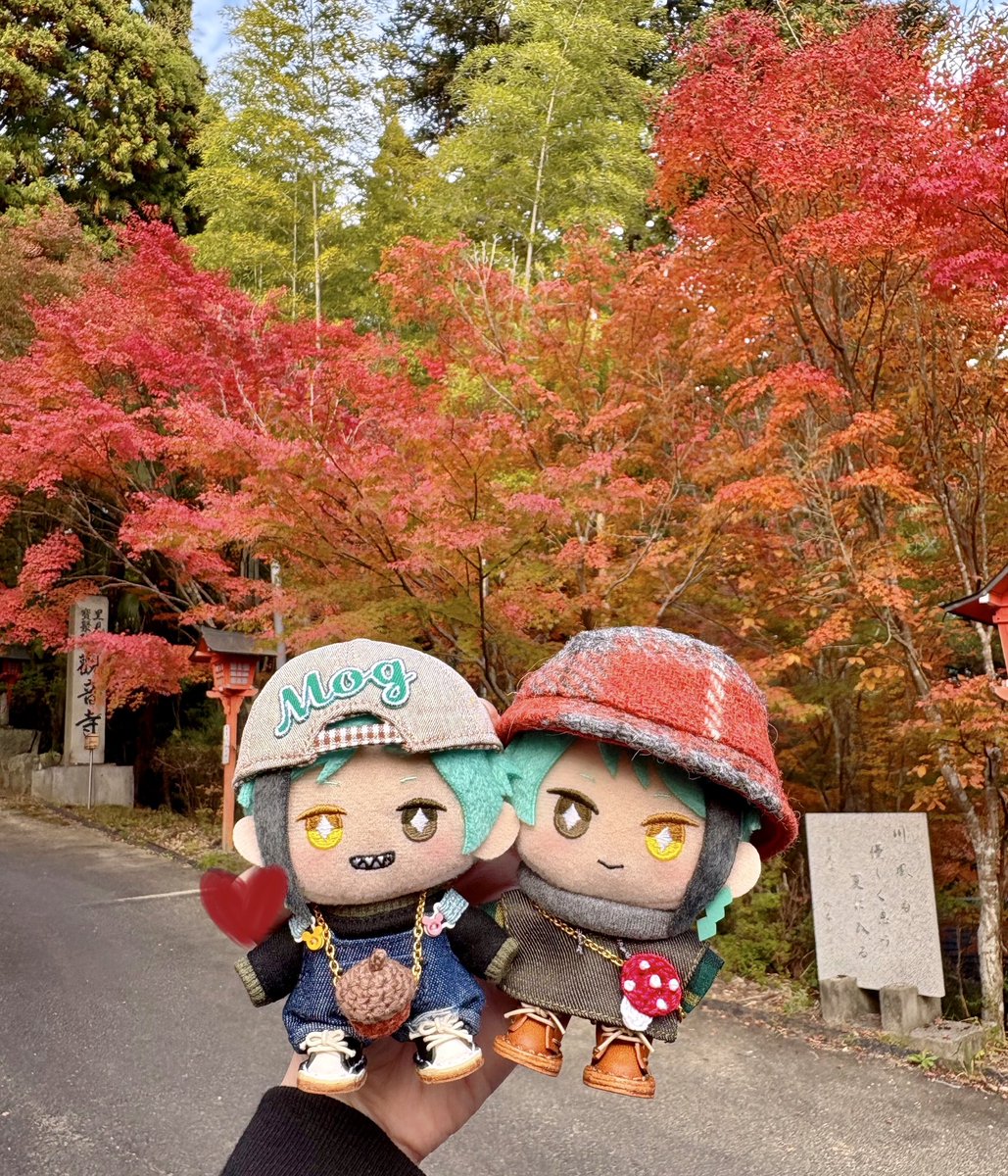 ⌇ゆっけ⌇ (@yukke_nui) / Posts / X