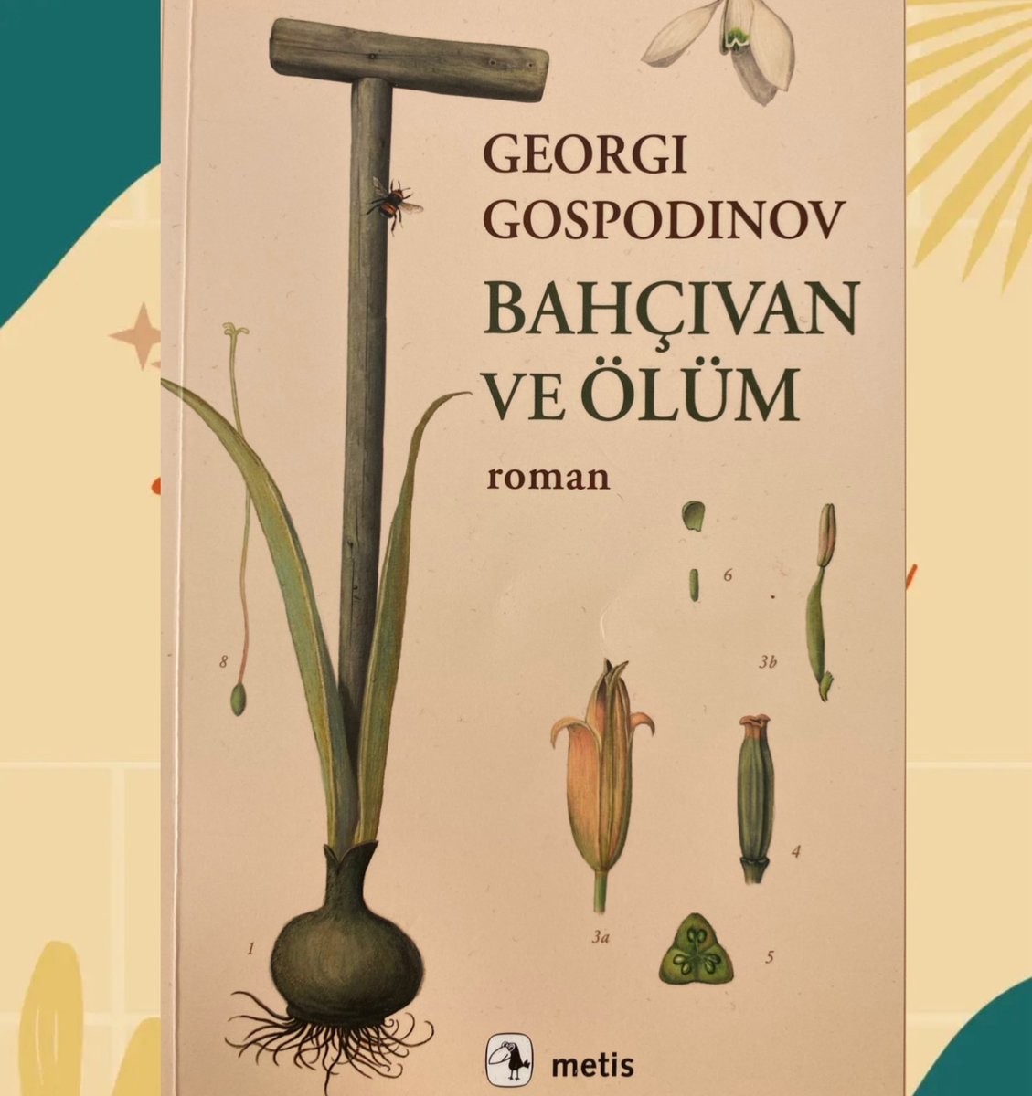 Trabzon’da olanları bekleriz. 🌿🌿