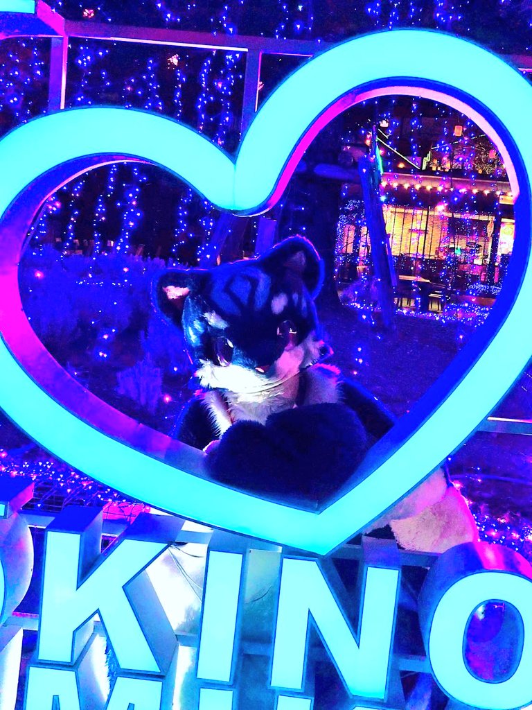 さて、雨も弱くなってきたので恒例の散策終了直前キャラ出しやろうかな？
20:45~21:00くらいから御殿場高原ホテル出発で……。

#kemocon18