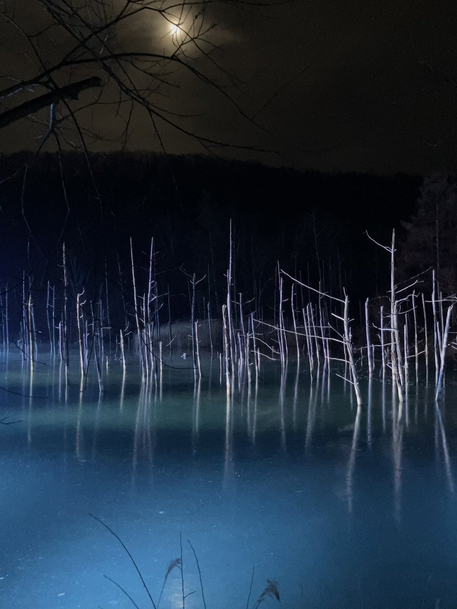 _yettocome___'s tweet image. 写真整理してたら去年の北海道旅行の写真出てきた〜北海道絶対また行きたい