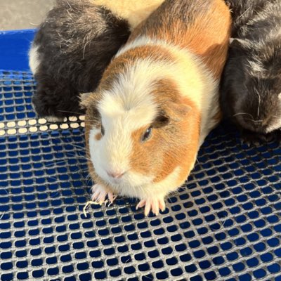 genkaipocky's tweet photo. #新しいプロフィール画像 https://t.co/T4h4qlwQym