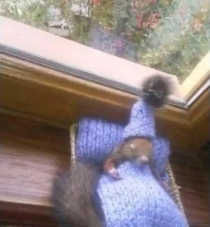 Sometimes the best trade is not taking a trade, now is the time to rest and reset. 

We will rape the markets again in due time. <a href="/TrapHouseFNF/">TRAPHOUSE</a>