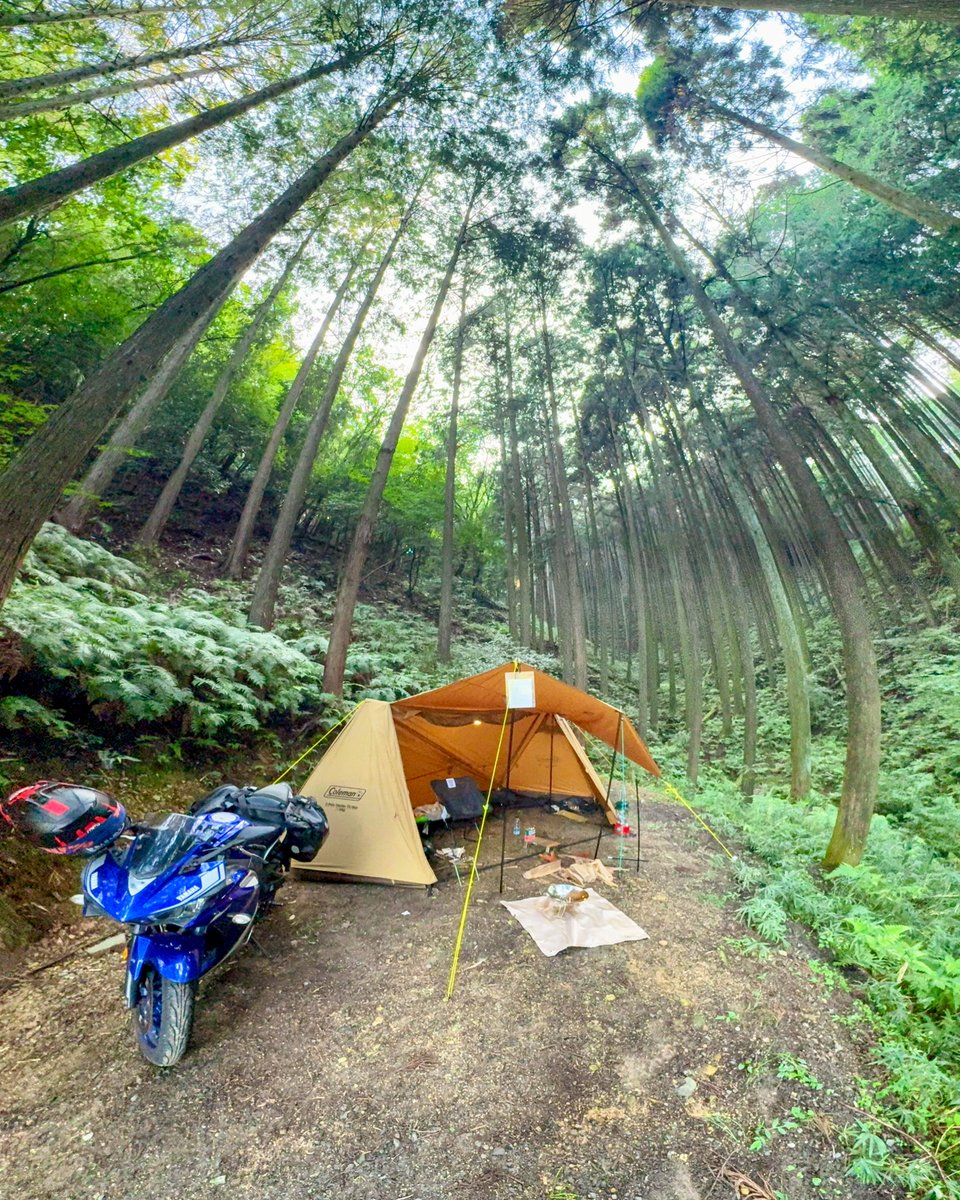 Coleman Japan（コールマンジャパン公式） on X