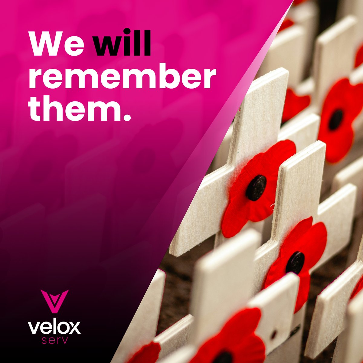 VeloxServ tweet media