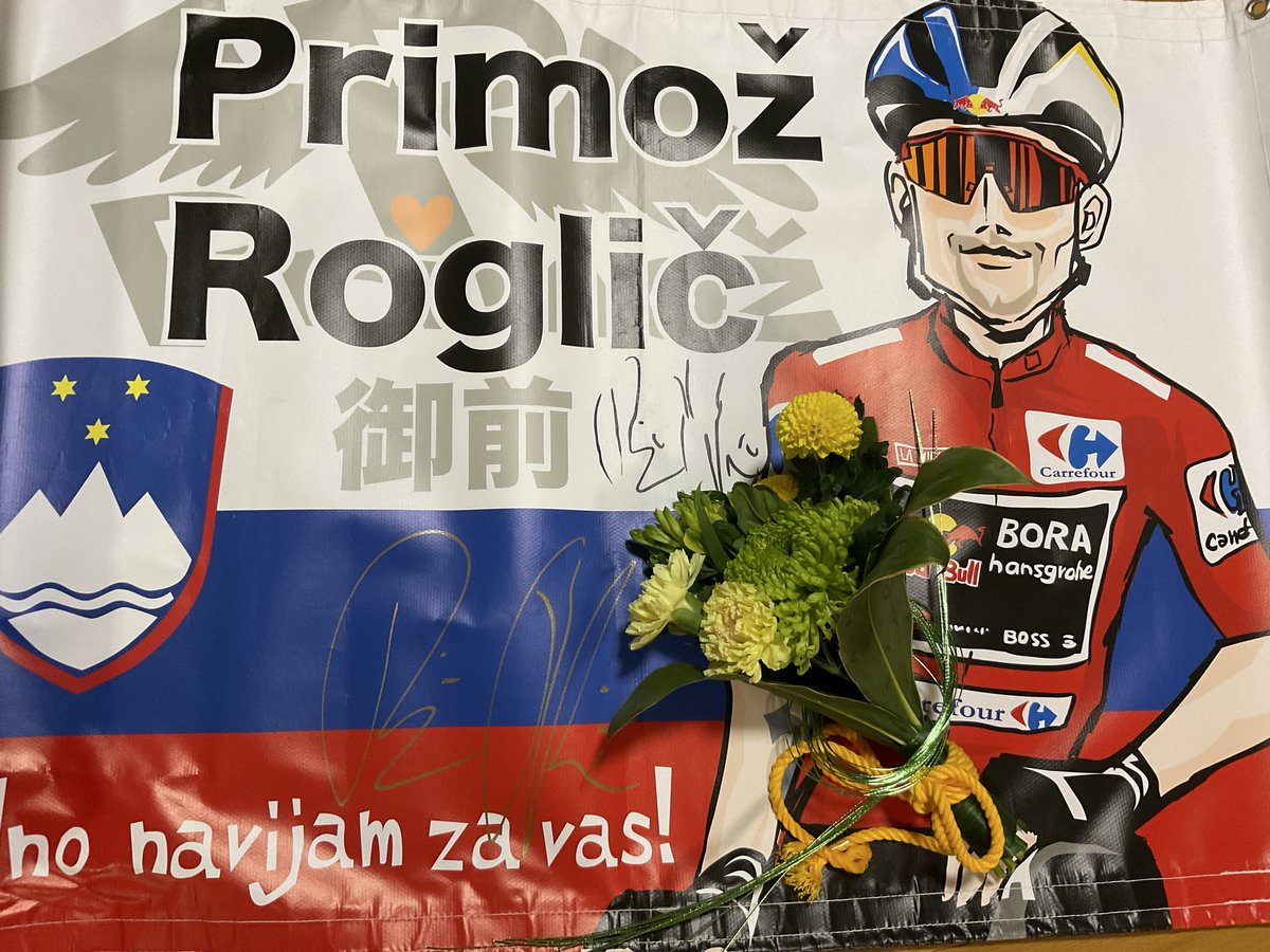 ヴィルヘルム・フォン・カウルバッハ ヴィンテージ ステンドグラス 羽