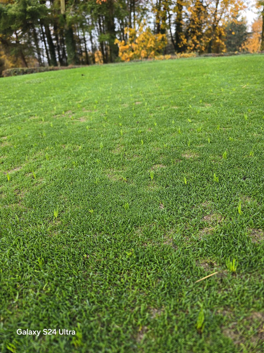 shaun embleton/ course manager ramside hall tweet media