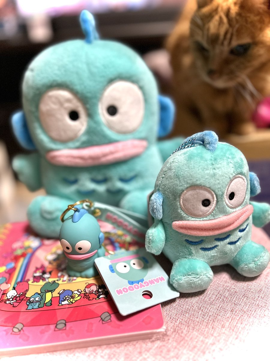 かのぴちゃんねる on X