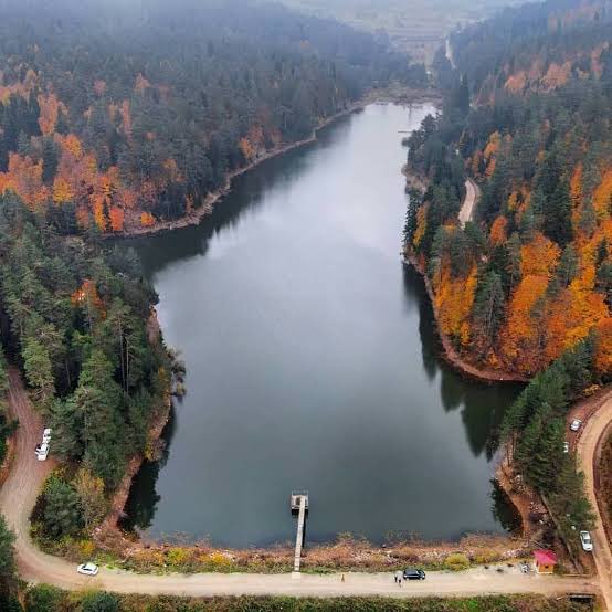 Bilecik bu yaz yaşanan orman yangınlarından en çok etkilenen illerden… Zaten ormanın bittiği, bozkırın başladığı bir geçiş noktasında Bilecik.

Bilecik’in Bozcaarmut ilçesine altın madeni kurmak istiyorlar. Orası nasıl bir yer diye merak edenler için fotoğraflar bırakıyorum.