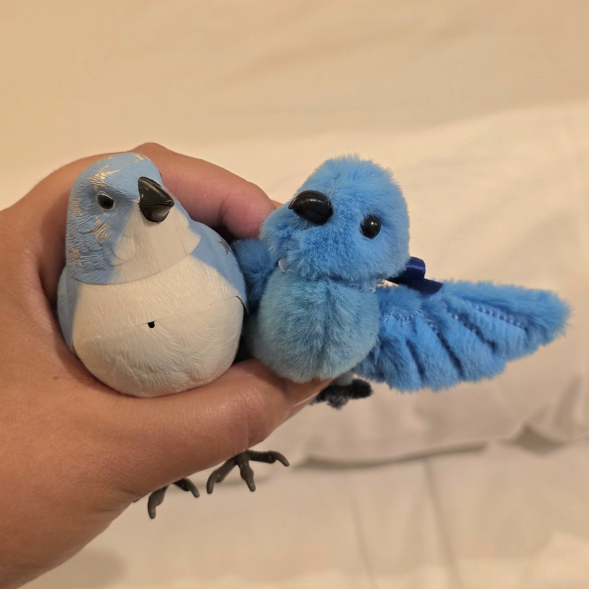 파랑새 두 마리  행운도 두 배!