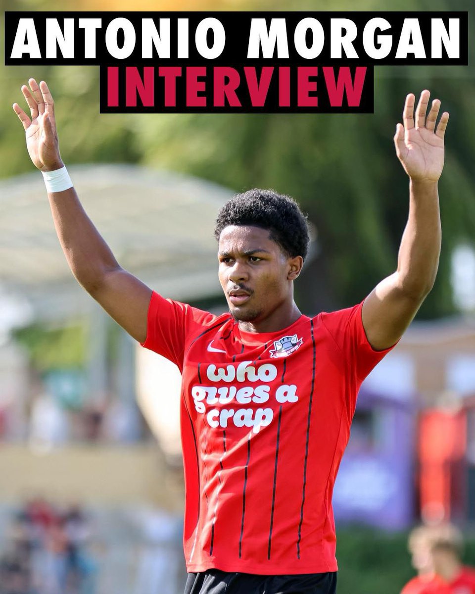 Lewes FC Men tweet media