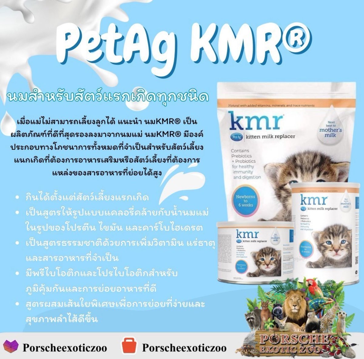 Porsche_shop99's tweet image. 👋🏻PetAg KMR นมสำหรับสัตว์แรกเกิดทุกชนิด🦷

❤️เมื่อแม่ไม่สามารถเลี้ยงดูได้  แนะนำนม KMR เป็นผลิตภัณฑ์ ที่ดีที่สุดรองลงมาจากน้ำนมแม่  นม KMR มีองค์ประกอบทางโภชนาการทั้งหมด ที่จำเป็นกับสัตว์เลี้ยงแรกเกิดที่ต้องการอาหารเสริม🤍

#porscheexoticzoo 
#porscheexoticzooadmin 
#นมkmr