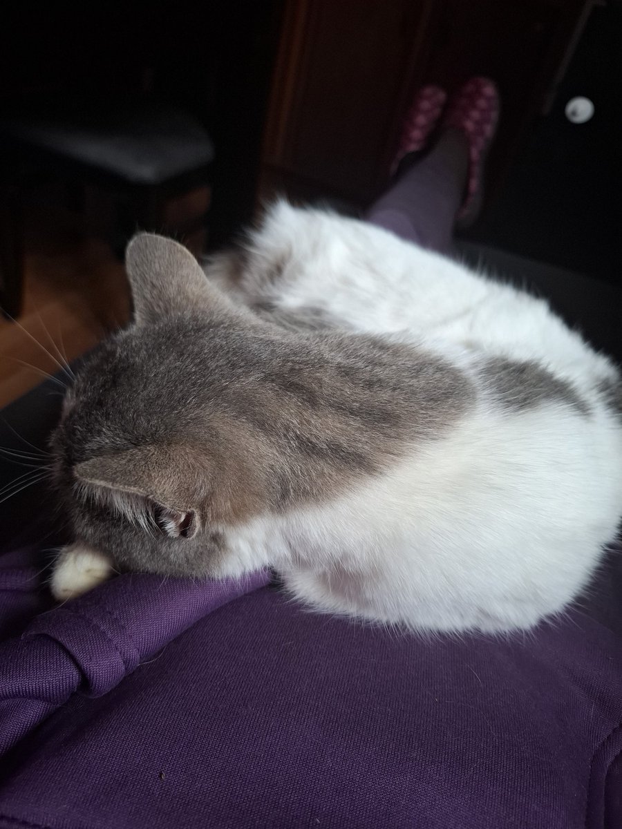 arinnaval's tweet image. Life outside twt