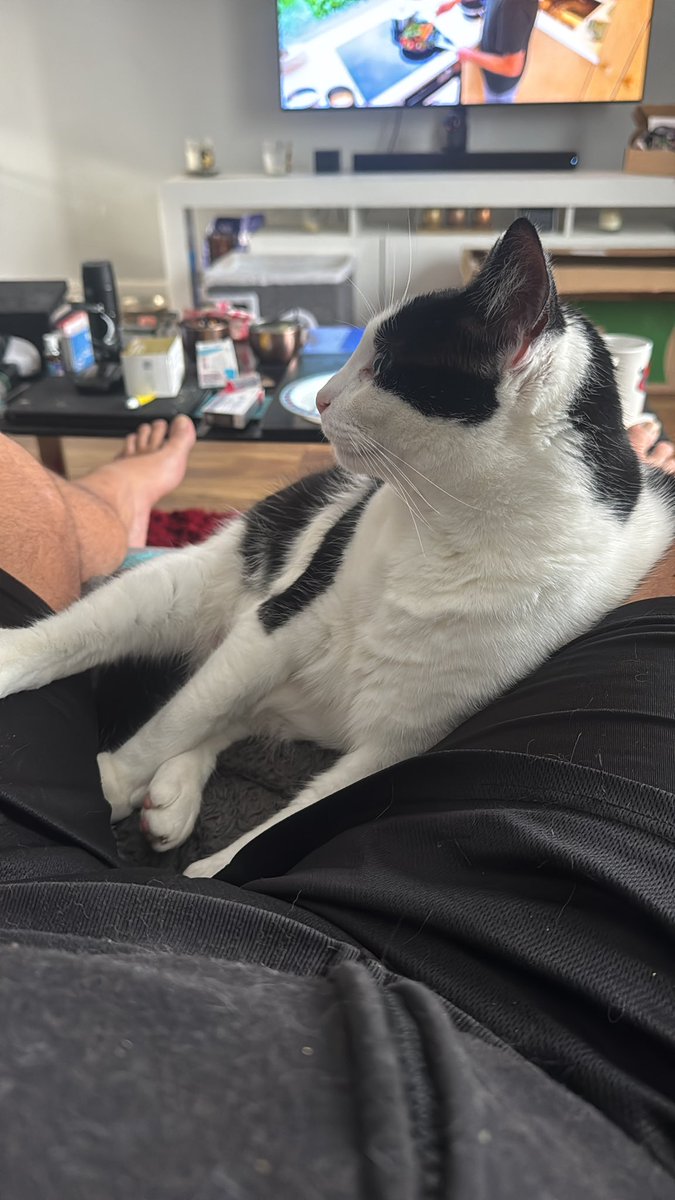 Cat Butler Danny tweet media