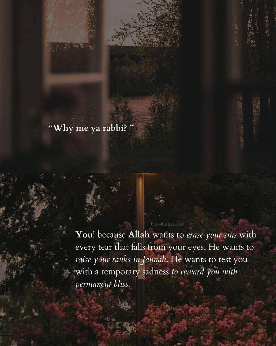 herqalb's tweet image. 