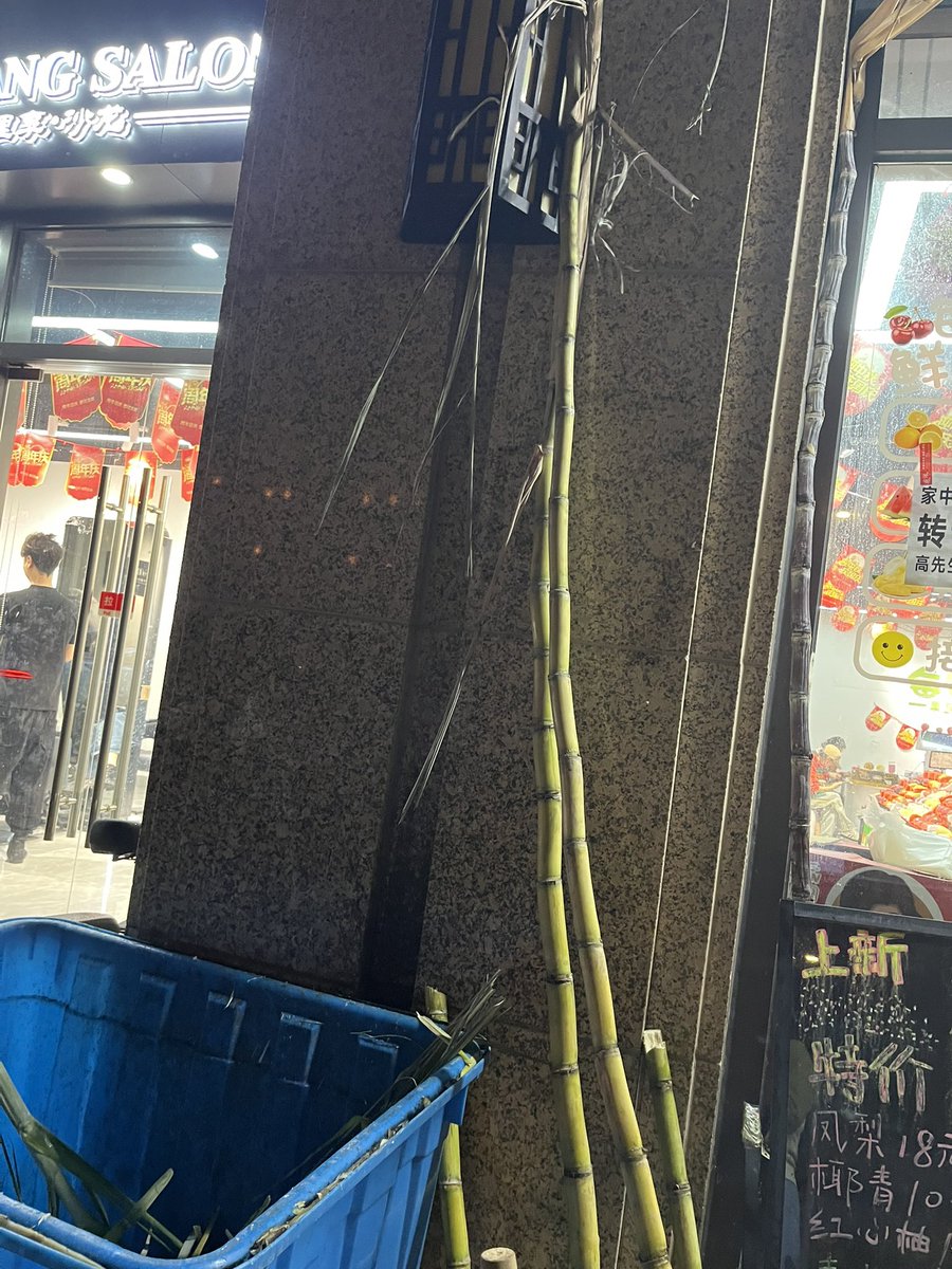 Xiaobaihu_SB's tweet image. 今は果物店の軒先にサトウキビが立て掛けられるシーズン。
で、店先でカットしてパックに詰めてくれる。結構人だかり。