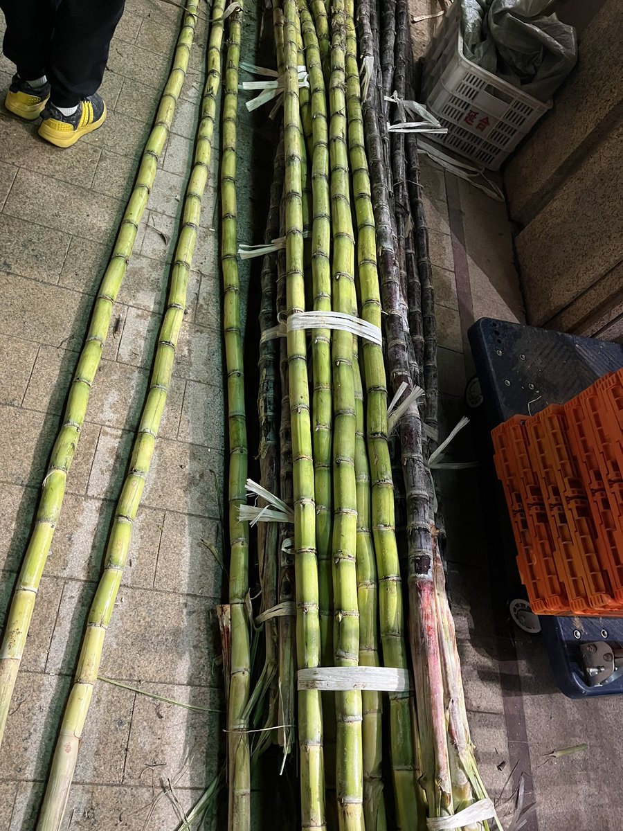 Xiaobaihu_SB's tweet image. 今は果物店の軒先にサトウキビが立て掛けられるシーズン。
で、店先でカットしてパックに詰めてくれる。結構人だかり。