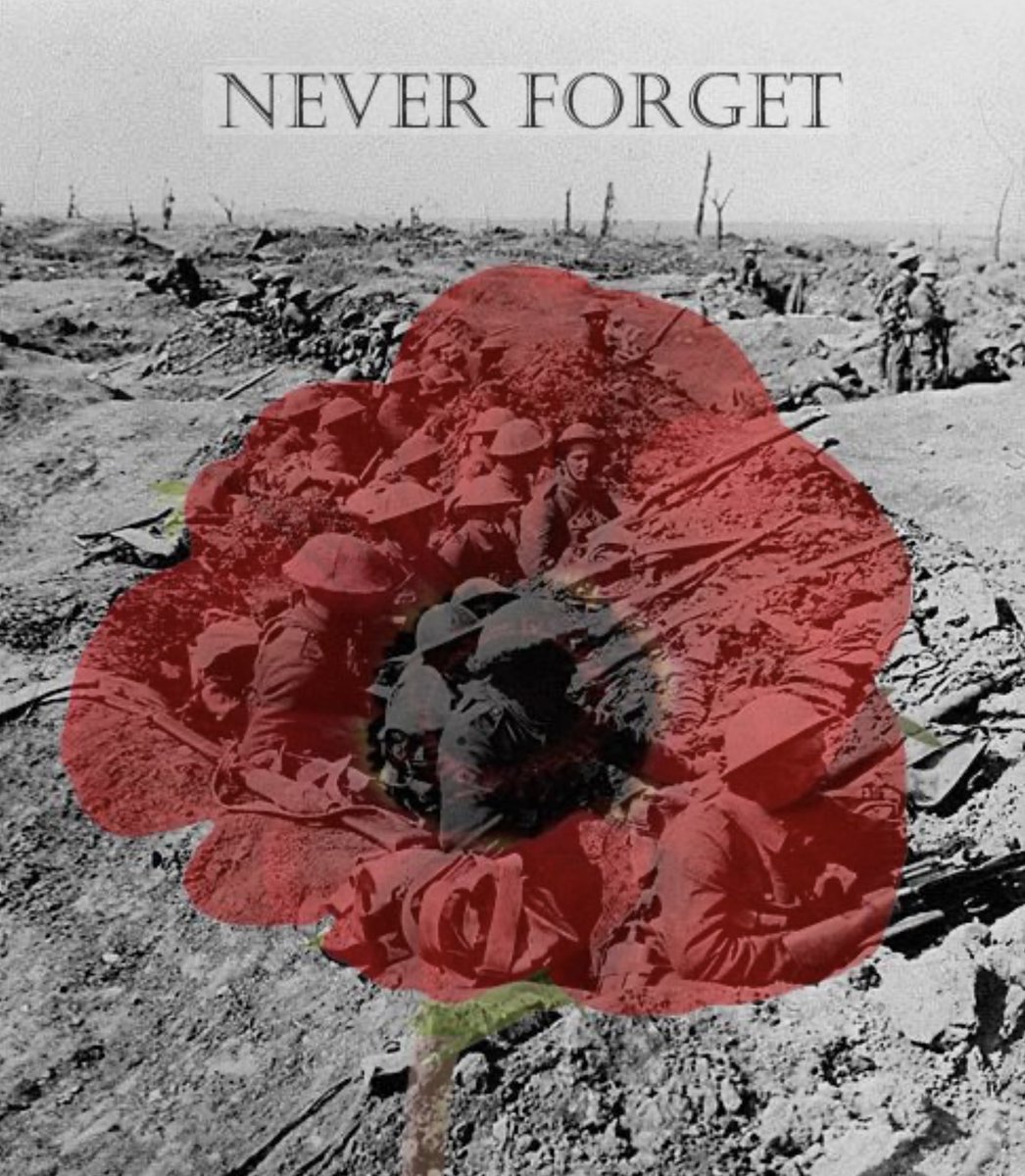 SunnySue12's tweet photo. #RemembranceSunday https://t.co/9bN5uLDIpd