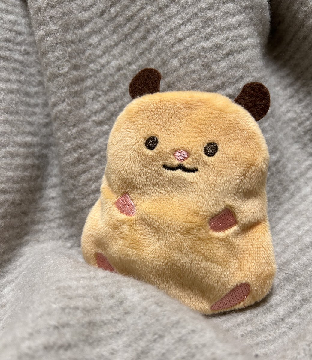 きりりりりりり。🐣︎🍳/🌙🦊/🐻🎀 (@p_09300503) / Posts / X