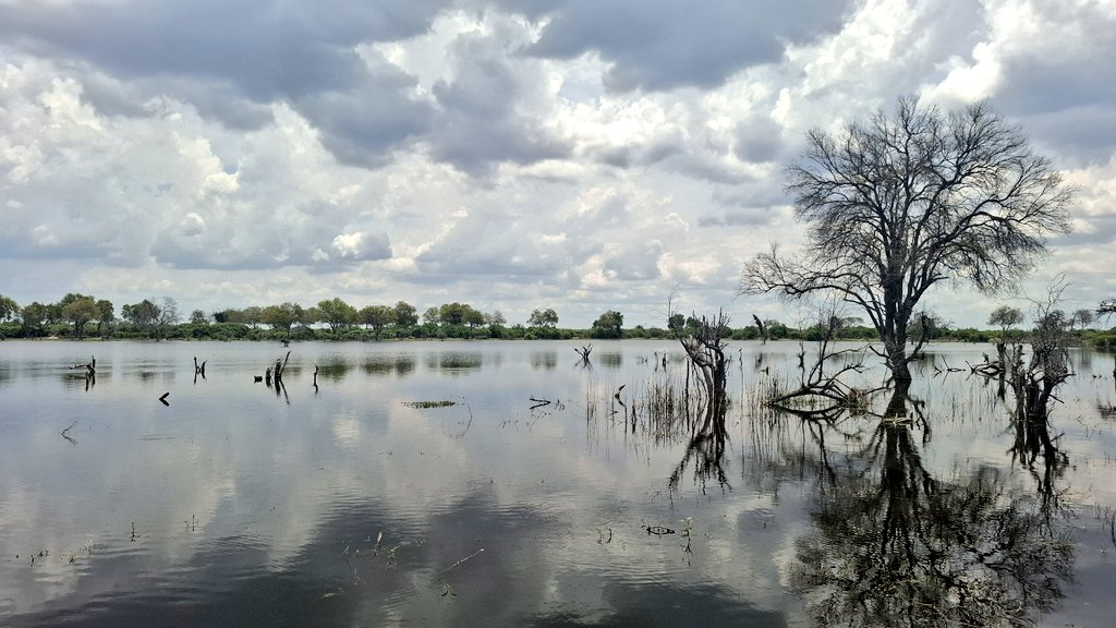 Stefan Hofer (@stefan__hofer) on Twitter photo 