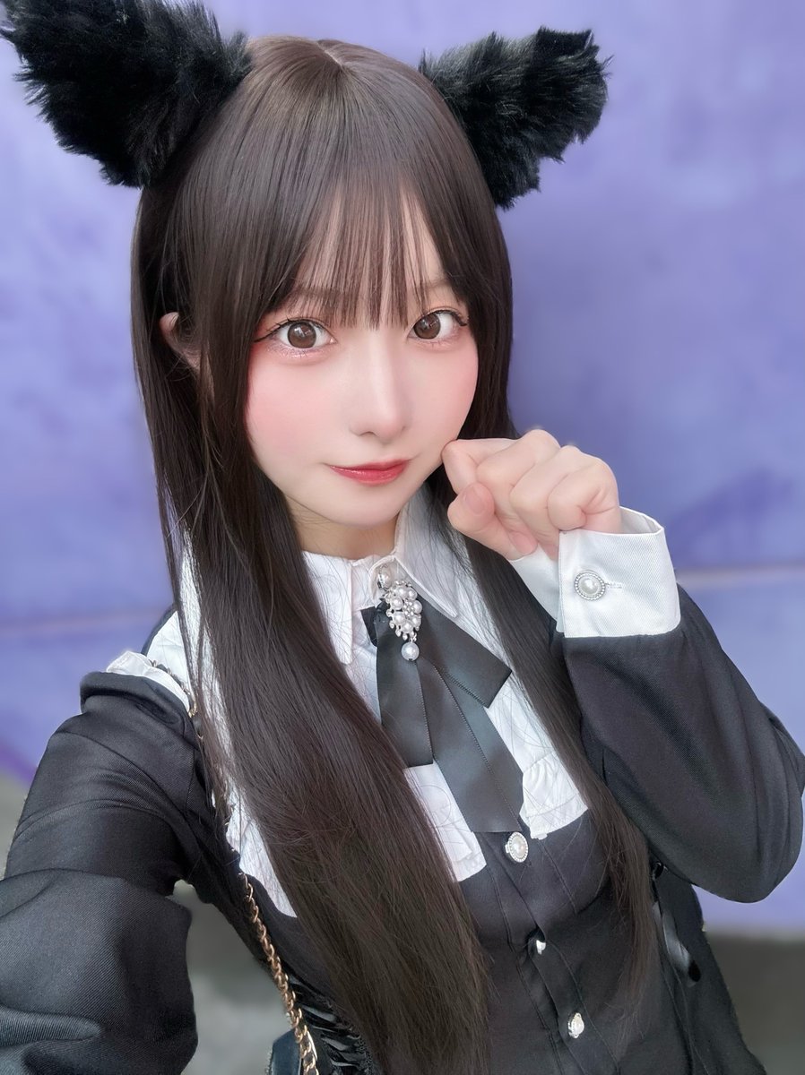 もちまる もちまる🐷🐈🐾 (@mochimaru_y) / Posts / X