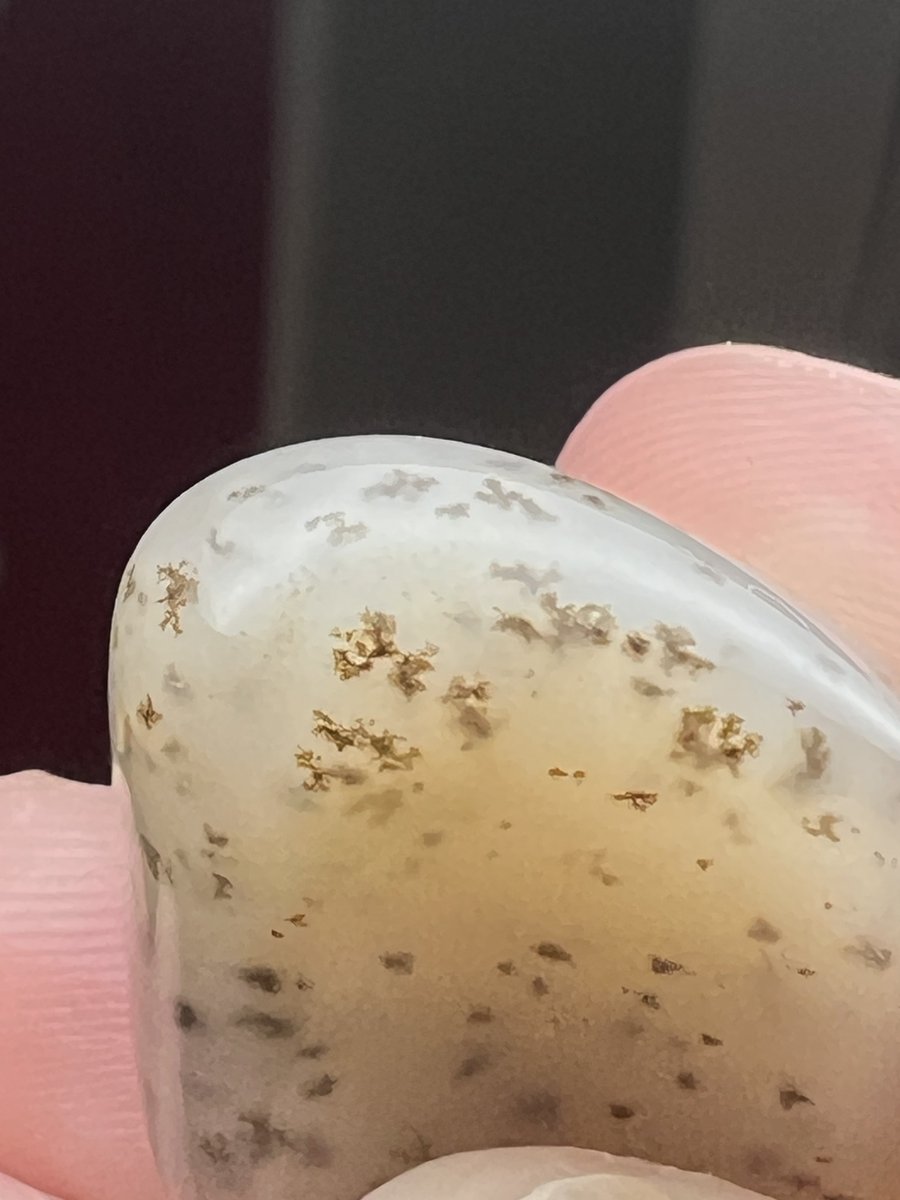 石欲が)無限たぬき (@tanuki2_ishi) / Posts / X