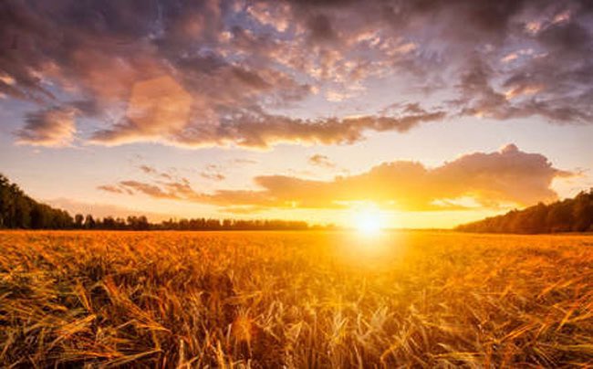 #clima☀️ y #campo🌱

Pronóstico semanal. Máximas de 30°C, lluvias variadas y ¿heladas en plena primavera en Córdoba?

➡️ agroverdad.com.ar/2025/11/pronos…

 #40AñosAV #AgroTitular #AgroCordoba #agro #campo #pronosticoextendido #lluvias #temperaturas #heladas
