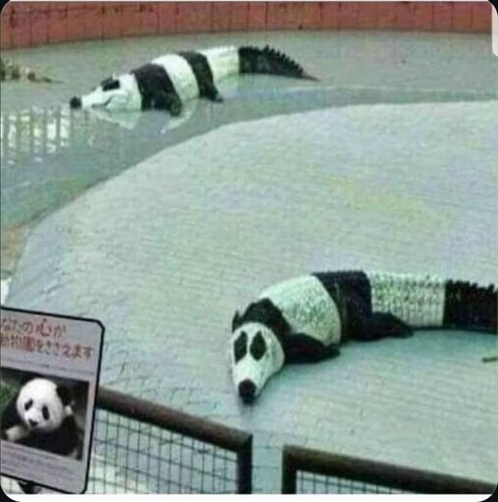 ManMilk2's tweet image. 