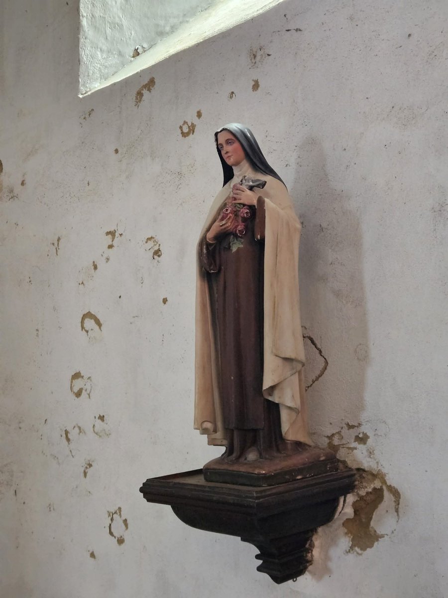 🌟 DIMANCHE JOUR DU SEIGNEUR 🌟 

Quand nous n’en avons pas la force c’est alors que Jésus combat pour nous. 

#Thérèse🌹 #Lisieux