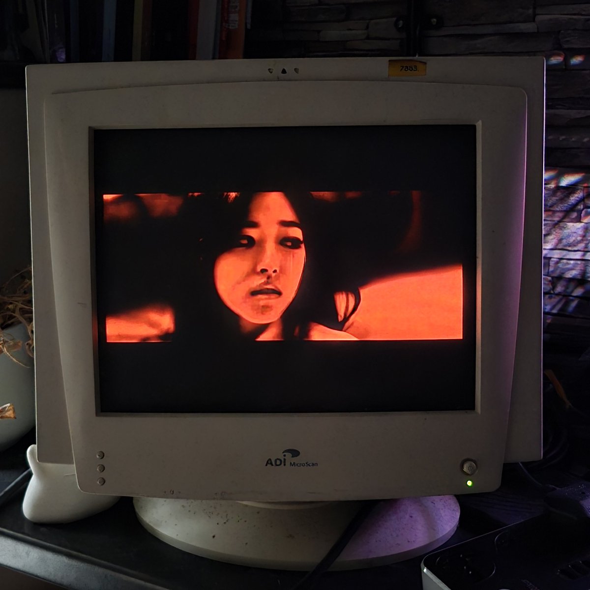 Egoist on a 1993 computer monitor