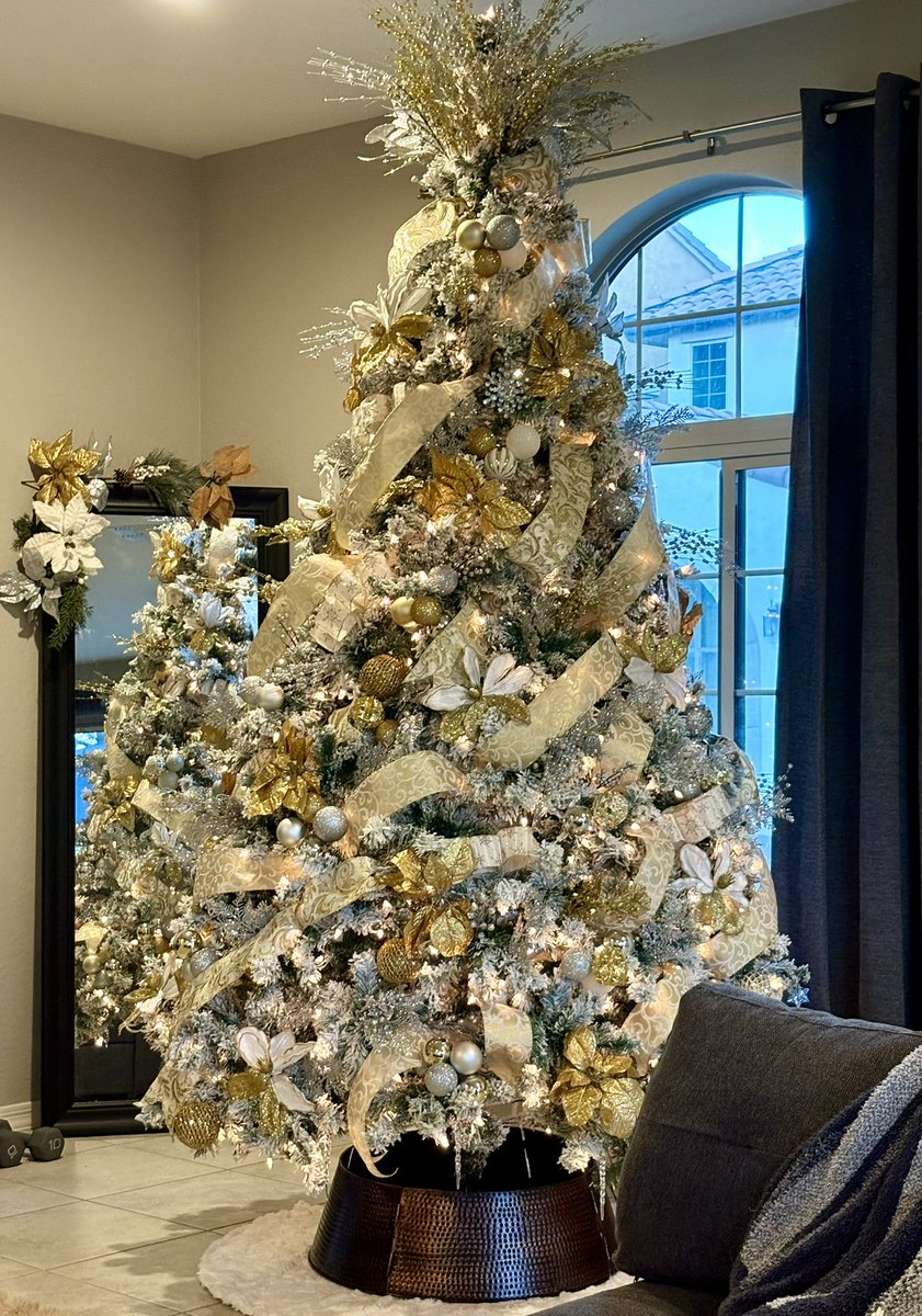 And so it begins 🎄