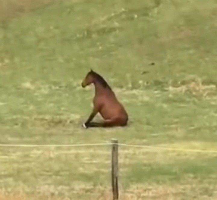 just incase anyone is interested my wholesome/ traditional art will be posted on IG