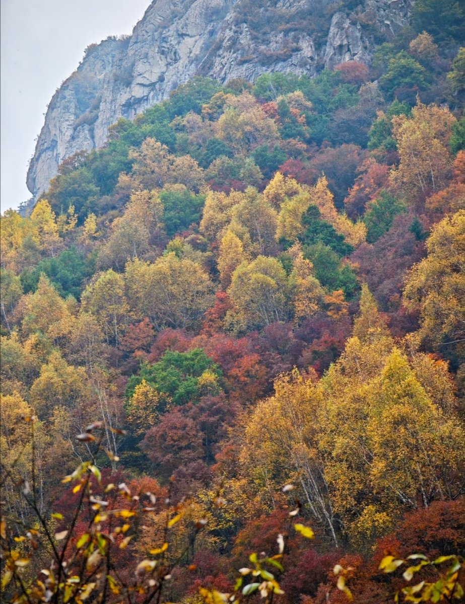 张蔓蔓 tweet media