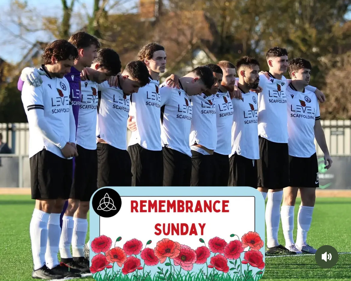 Level Scaffolding Limited tweet media