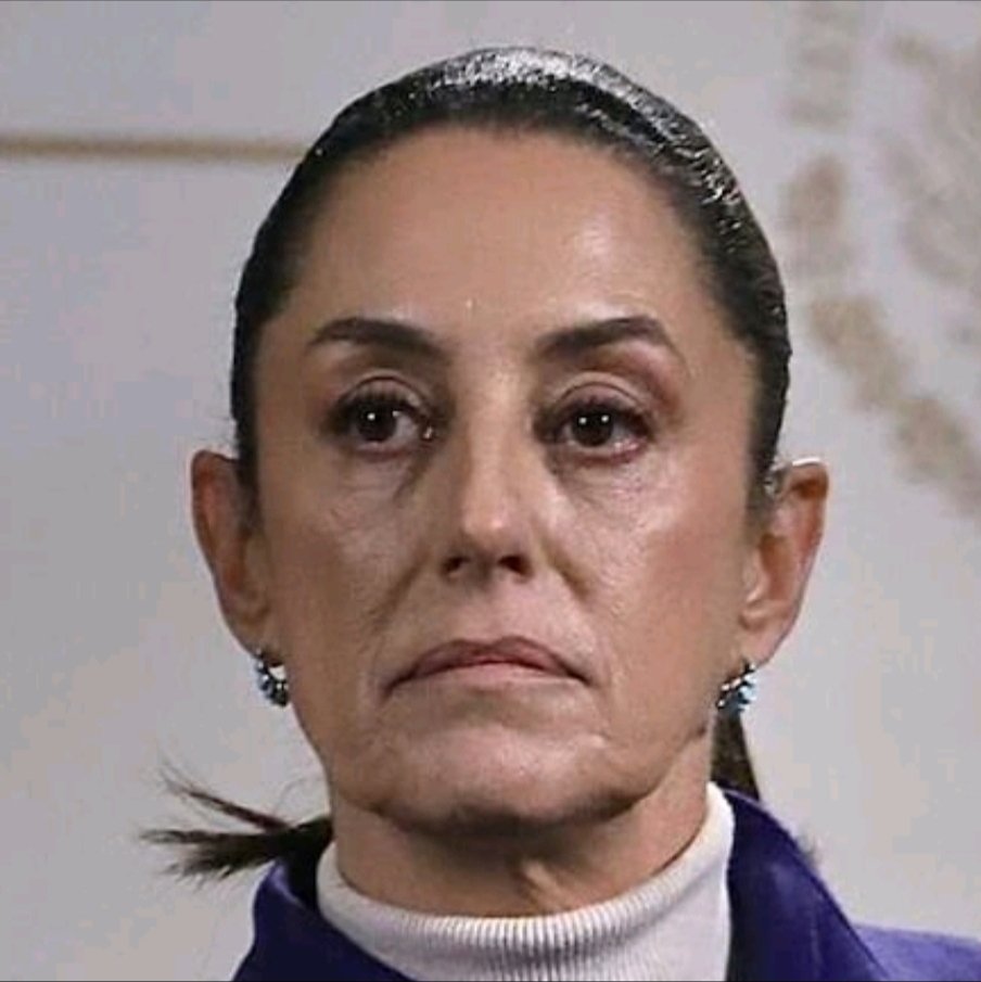 Melissa Ⓜ️ tweet media