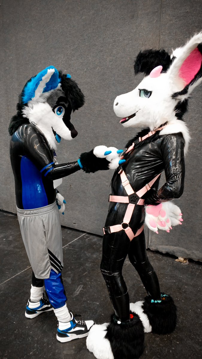 Safety harness with shiny✨️
Remember to pull for safety✨️
🐉: <a href="/Sylderg/">Sylderg</a>

#Latexfur #Rubberfur