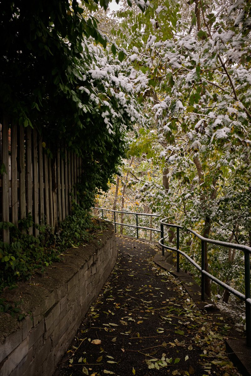 Surreal snowy scenes in Swansea.