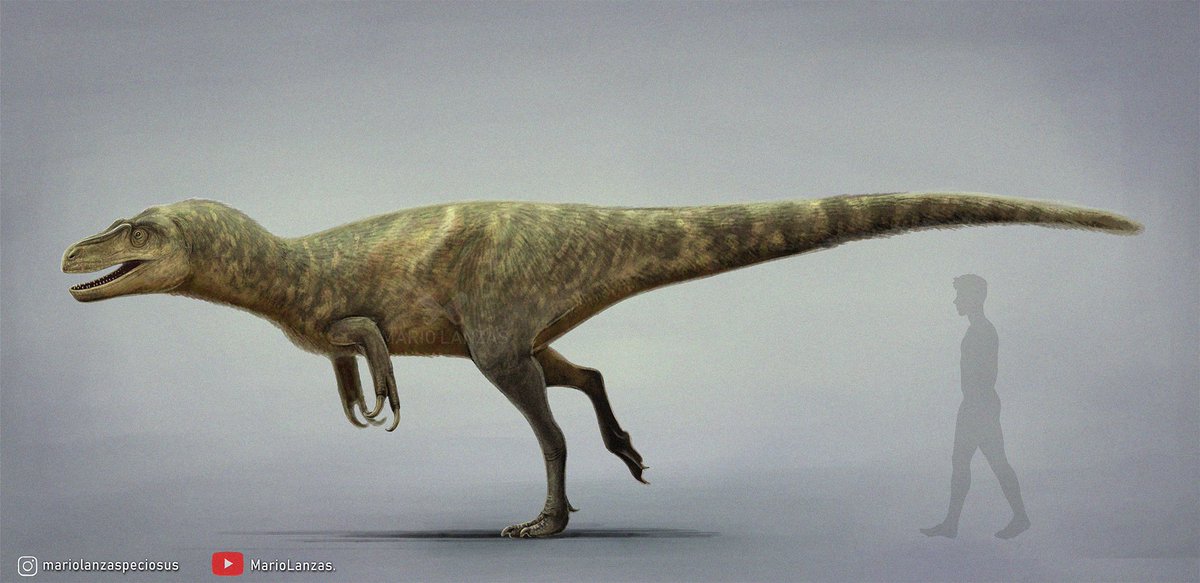 mariolanzas5's tweet image. DRYPTOSAURUS #dryptosaurus #paleoart #dinosaur