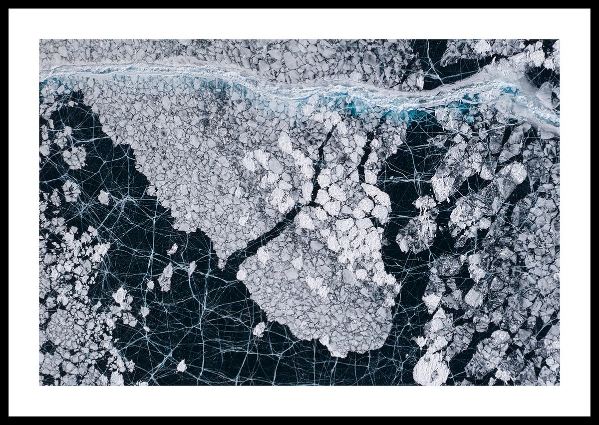 michelroggo's tweet photo. Would you like to purchase a print of one of my photos and support the ILCP's “Prints for the Planet” campaign? As a Senior Fellow of the iLCP (International League of Conservation Photographers), this is a cause that is particularly close to my heart.
https://t.co/vmqhEIqZoL https://t.co/bO91hVhY2o