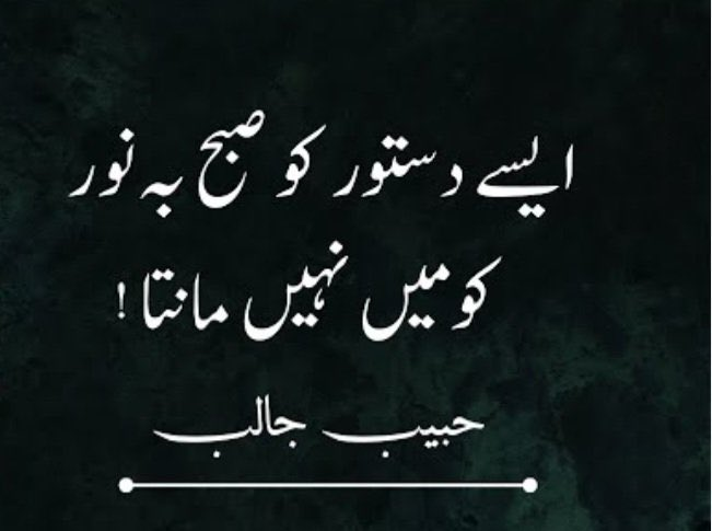 SabeeKazmi786's tweet photo. #ایسے_دستور_کو_میں_نہیں_مانتا https://t.co/6ZQyFsLr4k