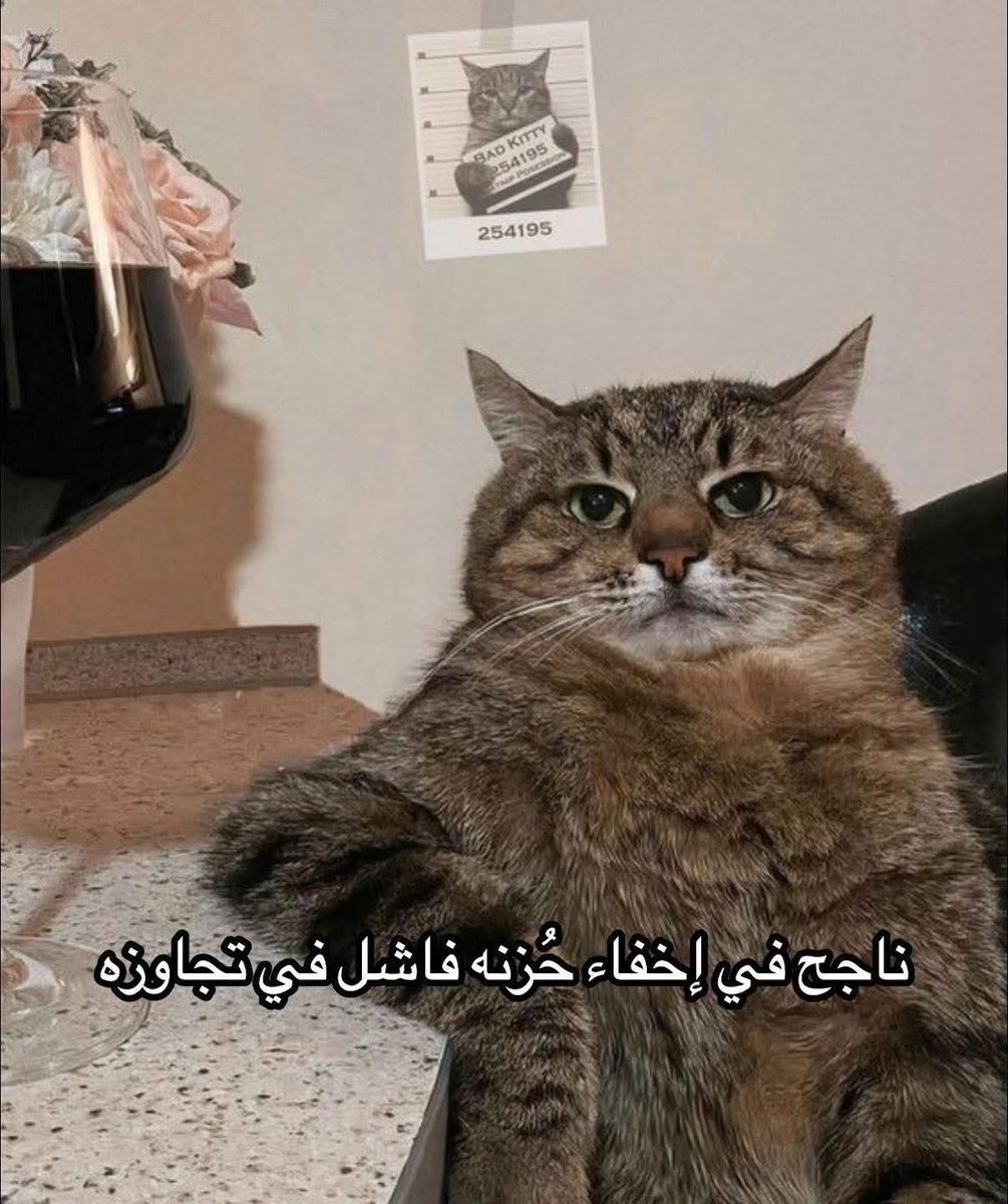 لماذا نحن هنا ؟ tweet media