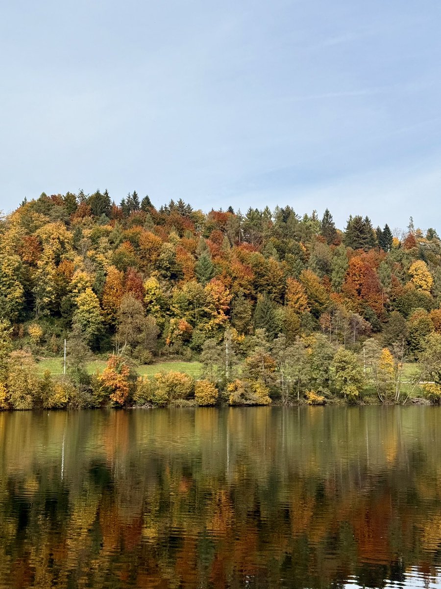TheSwissPath.com tweet media