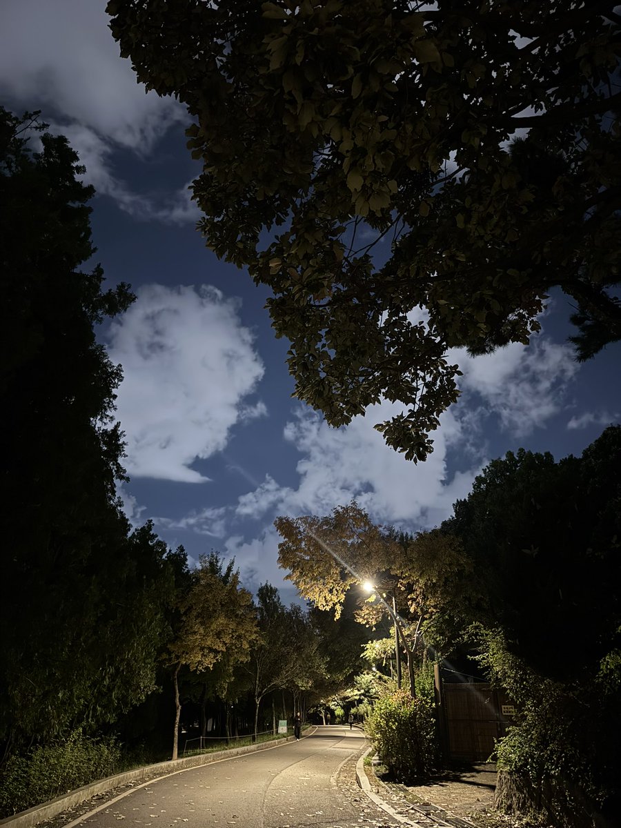 mocha__choco__'s tweet image. 가을이 사라지는 순간