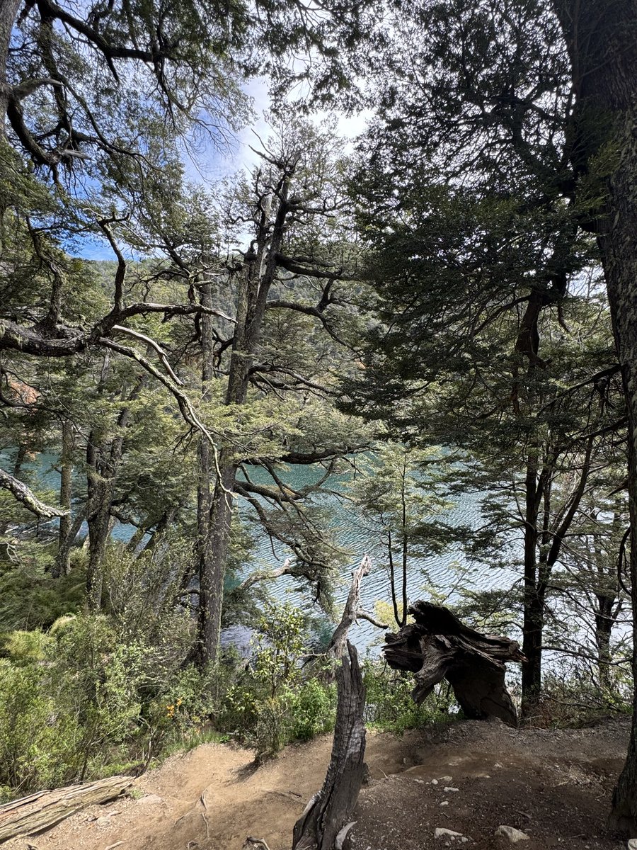 buzea200👩‍💻👾🫶 tweet media