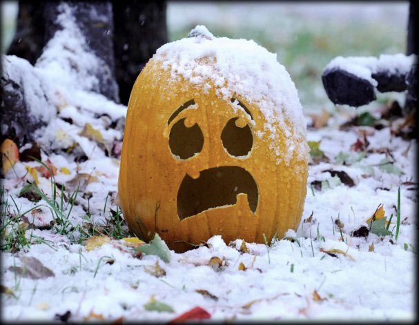 Burrr……Here comes the cold weather………🧡🖤🧡