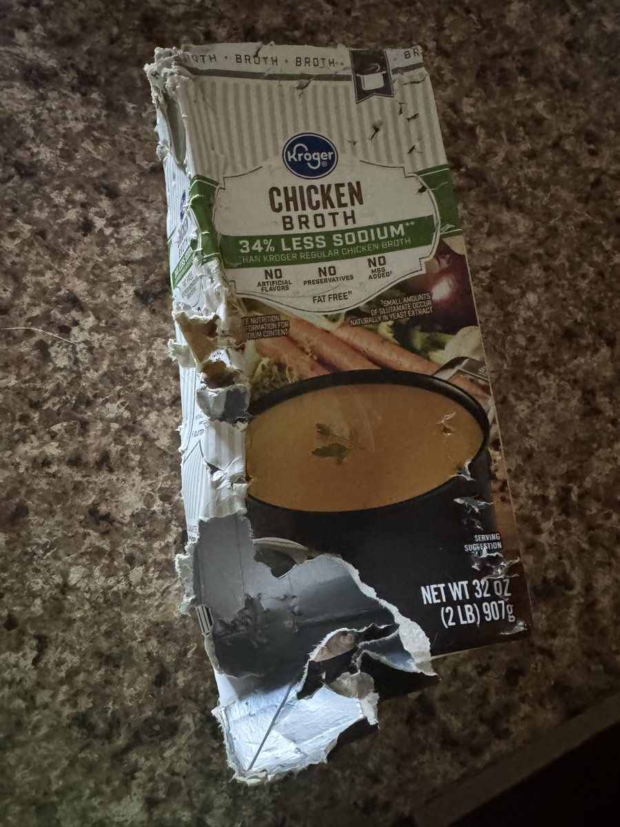 This cat pushes me to my limits every day
(There is chicken broth all over my kitchen floor)