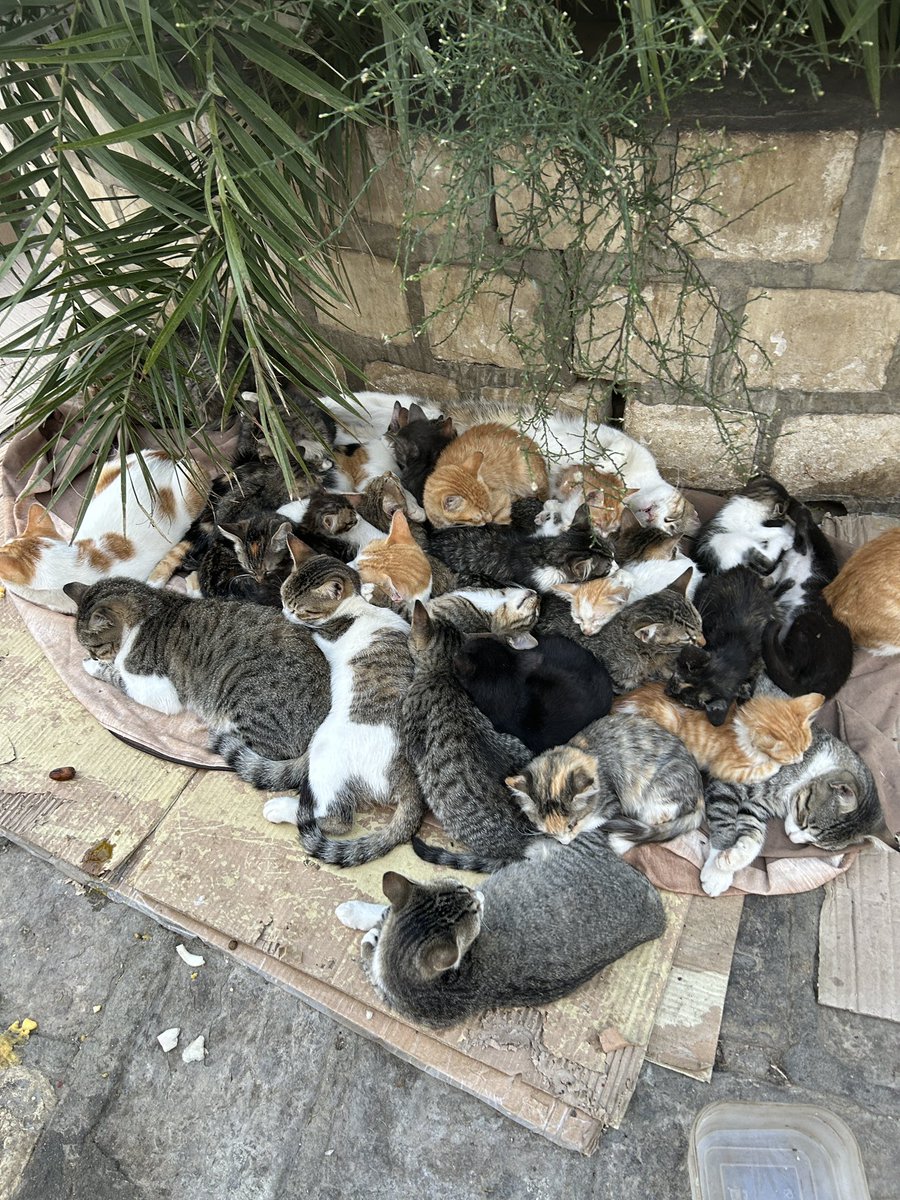 Sousse 
Tunisie,🥹❤️