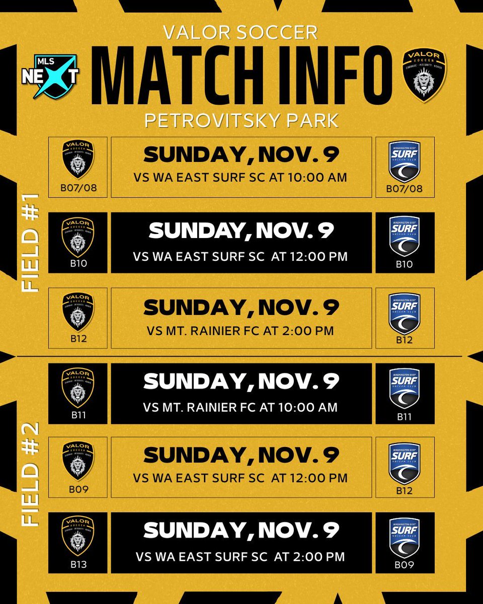 Good luck to our Elite boys team who are going up against Washington East Surf Soccer Club today! Let's go! 🔥 

#WeAreValor #EliteSoccer #YouthSoccer #FallSoccer #MLSNEXT