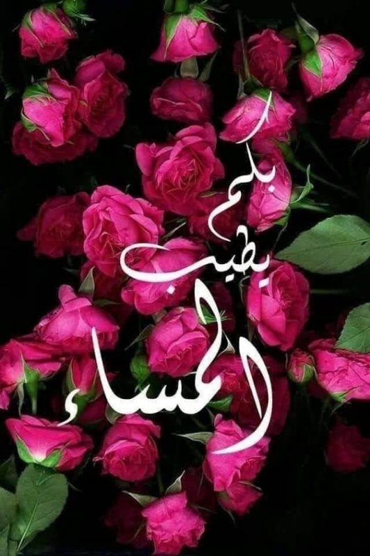 الكلمات كالملابس..

يجب أن نجربها على أنفُسنا..

قبل ان نخرج بها إلى الناس..

فكلاهما يعكس ذوق ..

الانسان وأخلاقه... 

🌸#أسعدالله_مسائكم_بكل_خير🌸