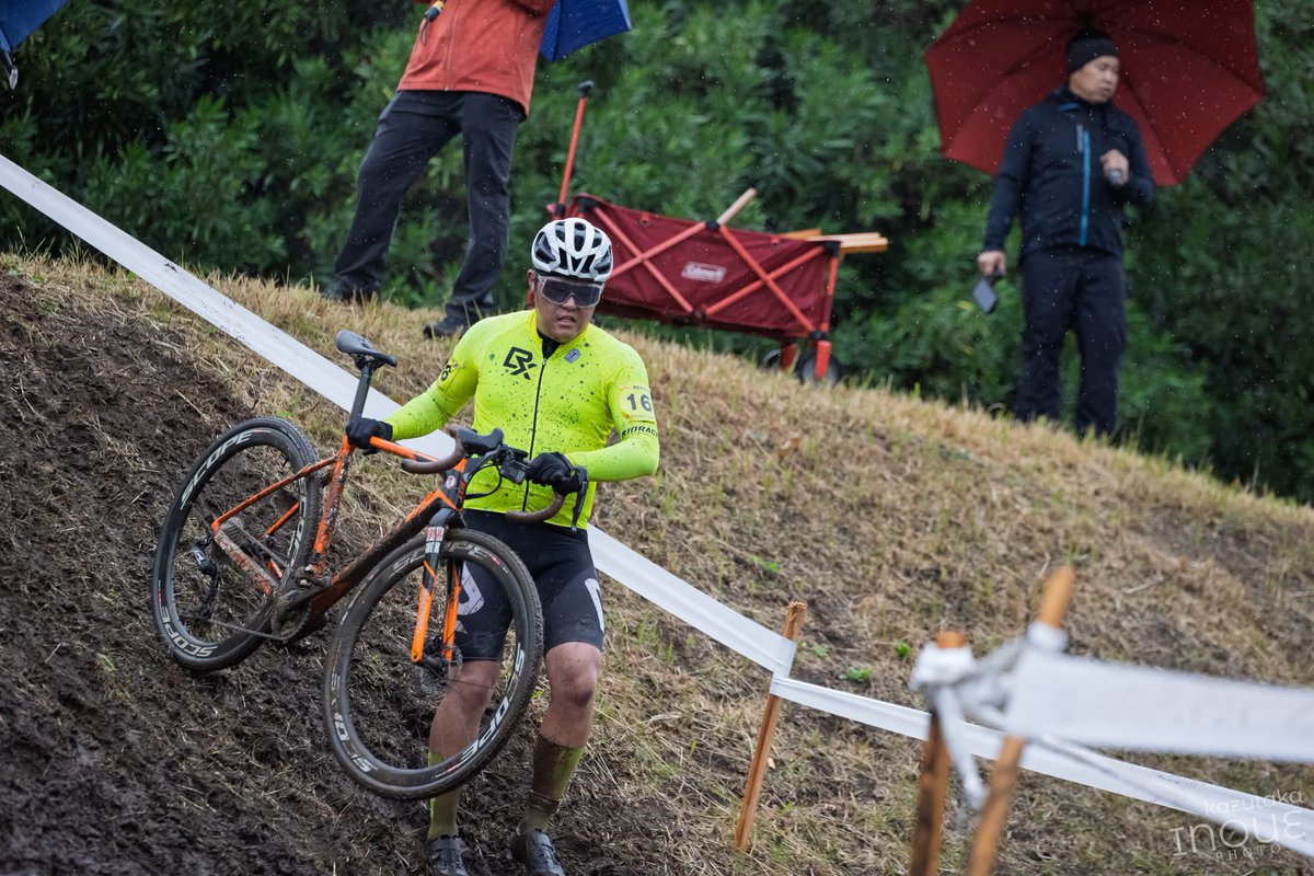 セイロンキシタアゲハ♂標本☆スリランカ☆ 106mm入手困難エリア鮮度