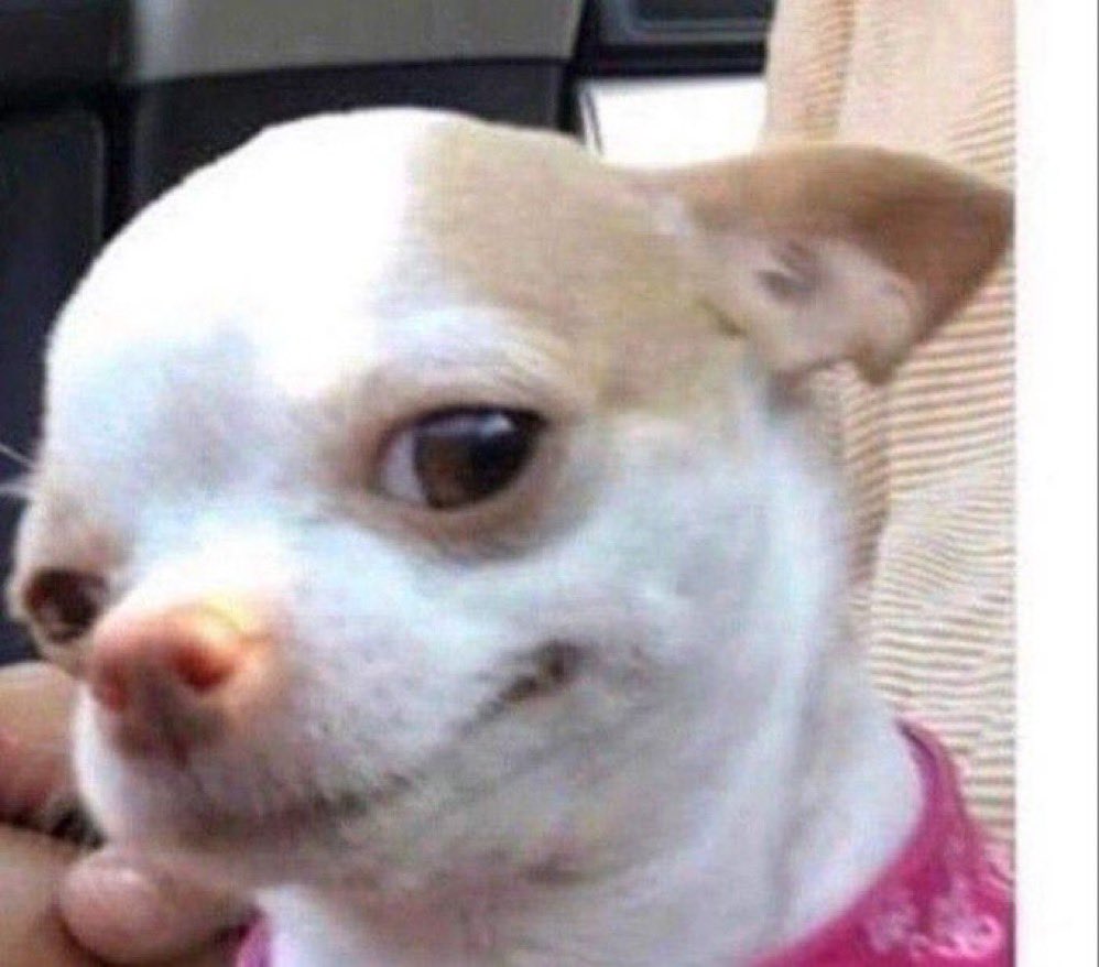 perkmaybe's tweet image. Is your X account growing or we should follow you?